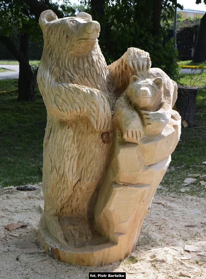 W Parku Żelewskiego w Rumi Janowie zakończyły się plener rzeźbiarski. Rzeźb jest łącznie siedem, a wśród nich: wilki, orły, sowy, wiewiórki, jeże czy niedźwiadek.  