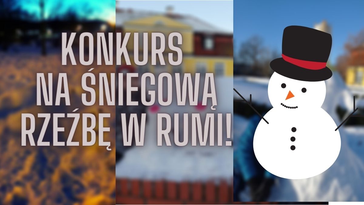 Konkurs na śniegową rzeźbę w Rumi! Znamy najlepsze prace! [Zdjęcia]