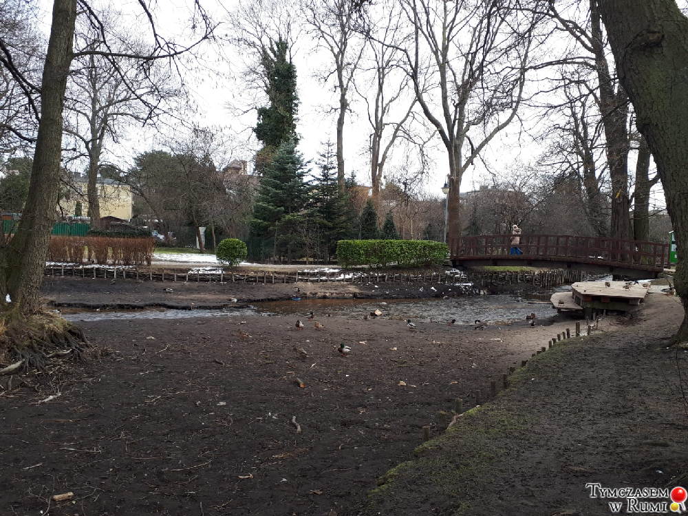 Dlaczego w stawie w Parku Starowiejskim (prawie) nie ma wody?