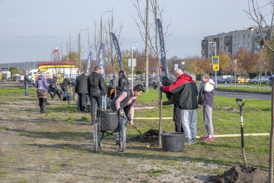 “Zieleń na mur-beton” w Rumi. Przybędzie prawie 100 drzew!